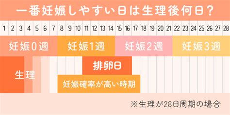 妊娠しやすい体位|医学的に見た「妊娠しやすい体位」とは？